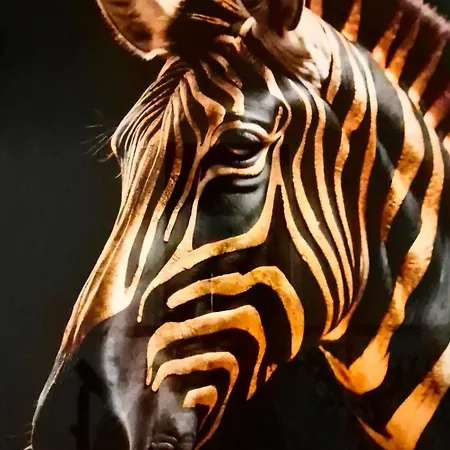 Urban Jungle Experience Hyper Centre Gare Daire *